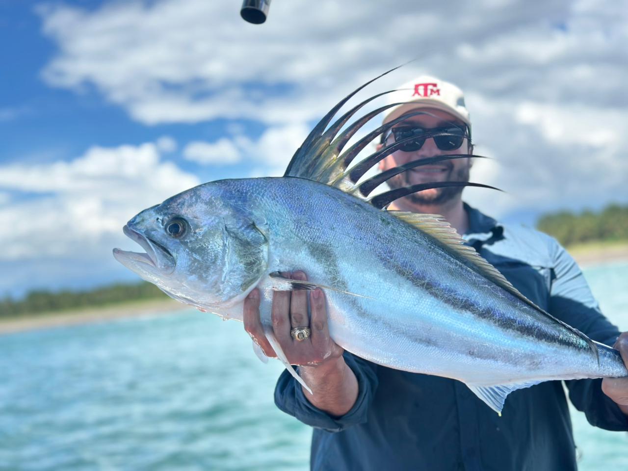 Beautiful roosterfish with dramatic dorsal crest